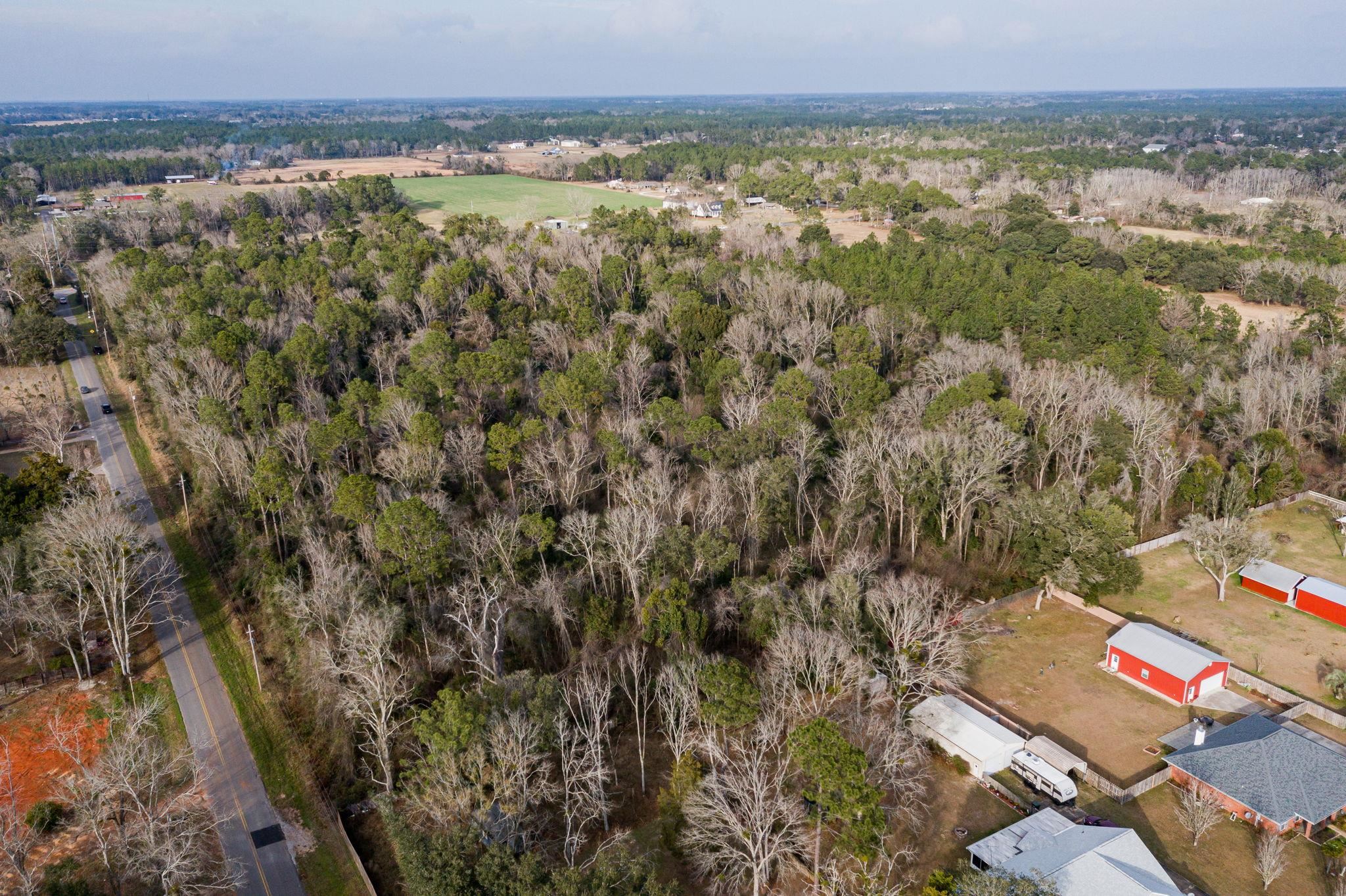 24060 Miflin Road Elberta, AL 36530 - Photo 4 of 18