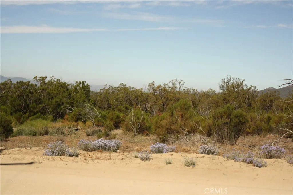 0 Pony Anza, CA 92539 - Photo 8 of 23