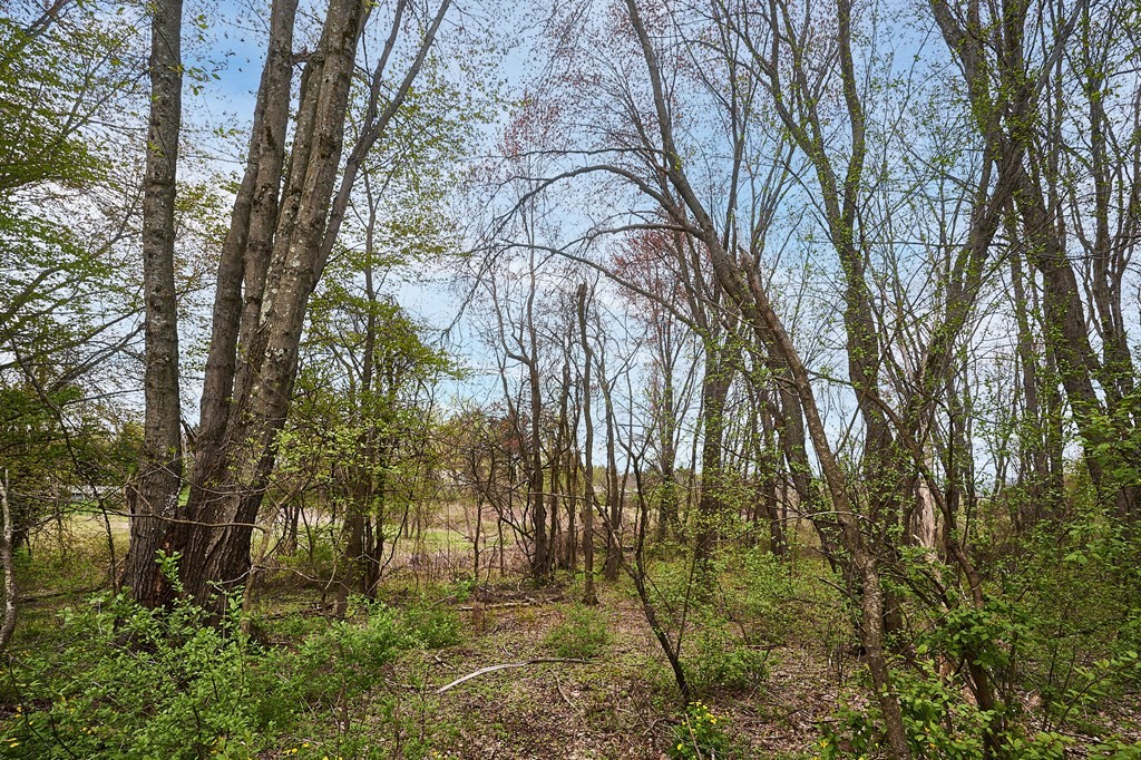 7 High Meadow Road Hadley, MA 01035 - Photo 36 of 42 Gallery Image 36