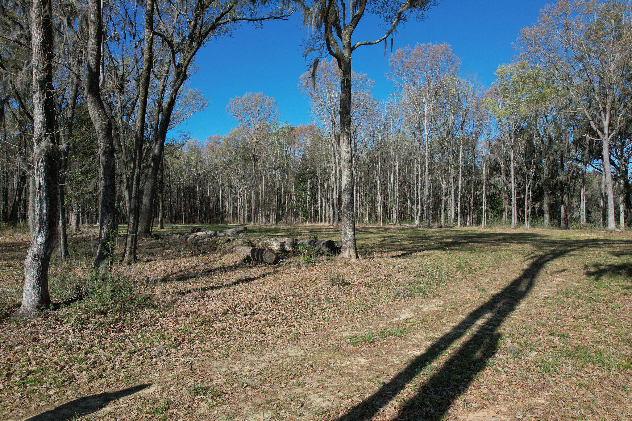 554 Point Comfort Road Moncks Corner, SC 29461 - Photo 13 of 14 waterfront-acreage-sc