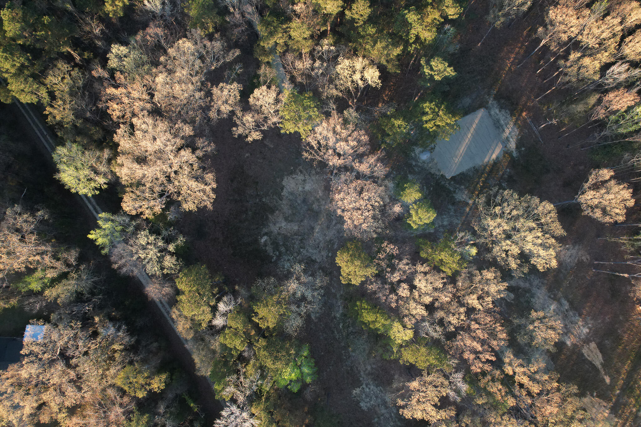554 Point Comfort Road Moncks Corner, SC 29461 - Photo 5 of 14 buildable-homesite-sc