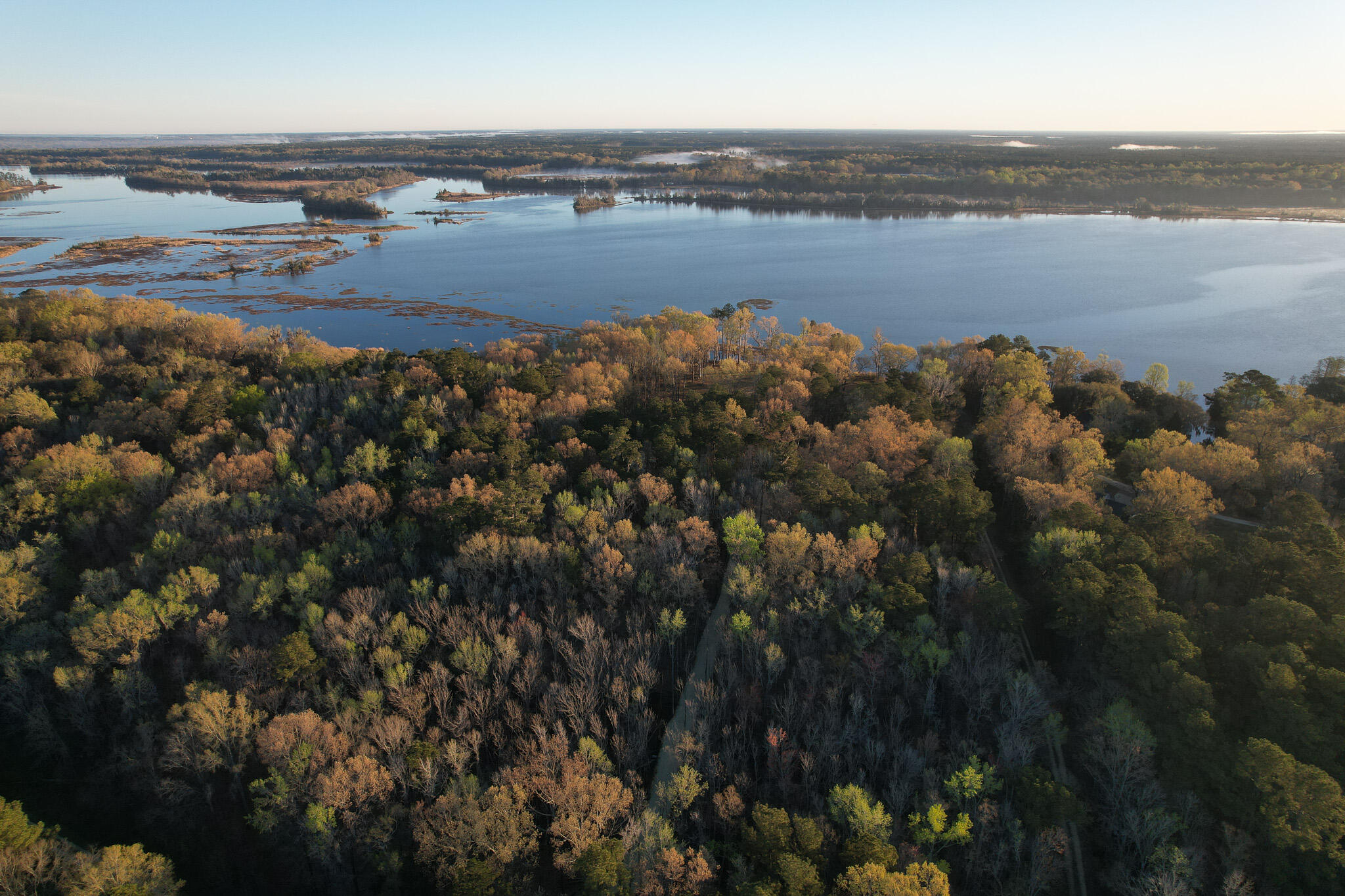 554 Point Comfort Road Moncks Corner, SC 29461 - Photo 7 of 14 lowcountry-land-water-view