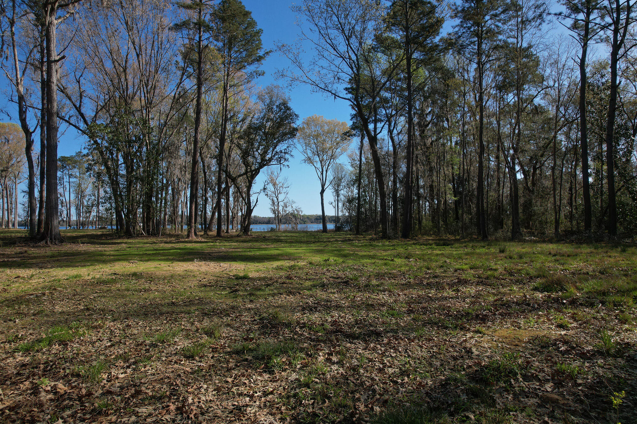 554 Point Comfort Road Moncks Corner, SC 29461 - Photo 8 of 14 riverfront-land-sc