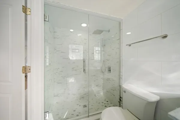 a bathroom with a shower and a toilet