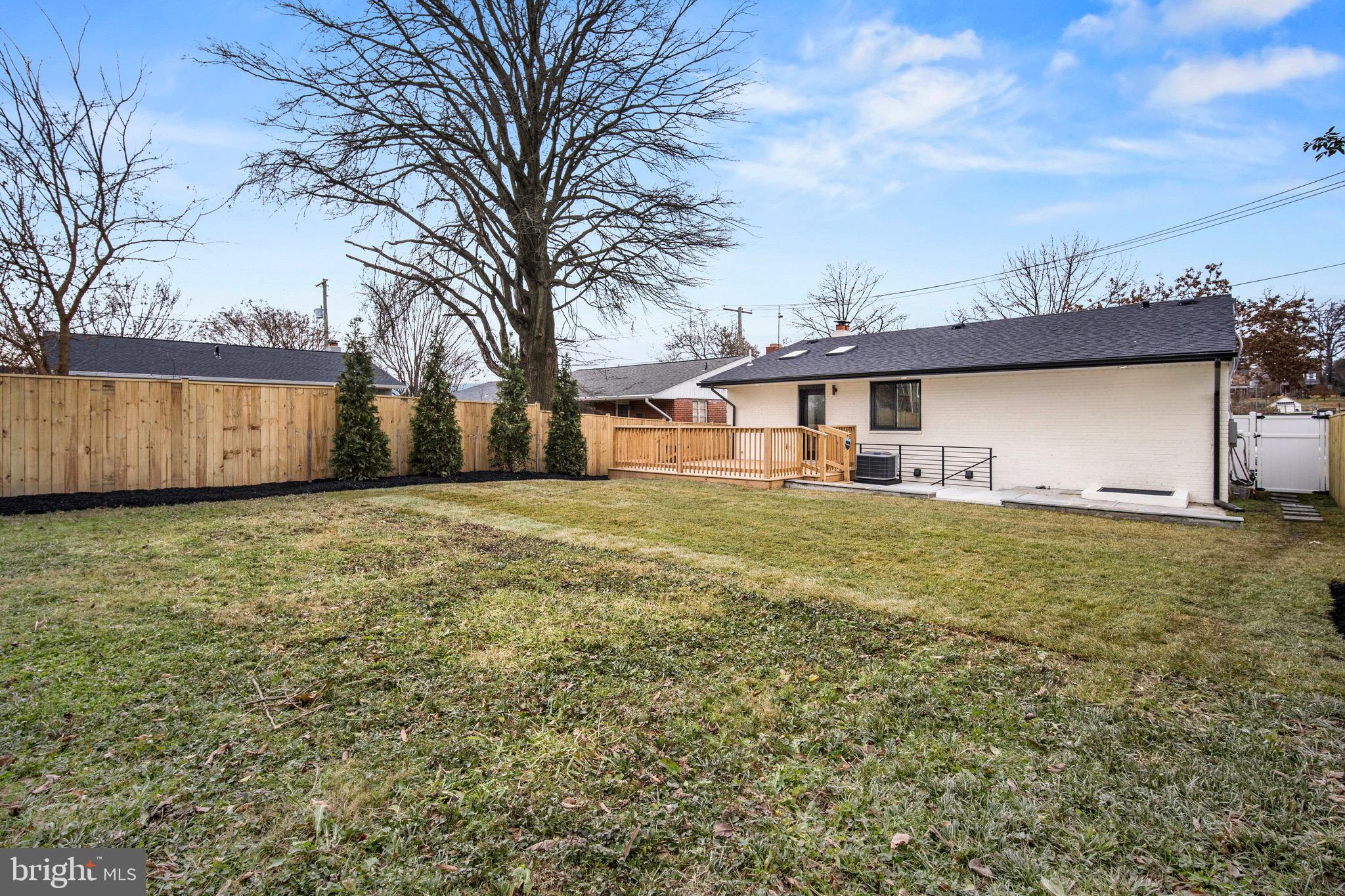 6609 3rd Street Northwest Washington, DC 20012 - Photo 42 of 42 Manicured Backyard