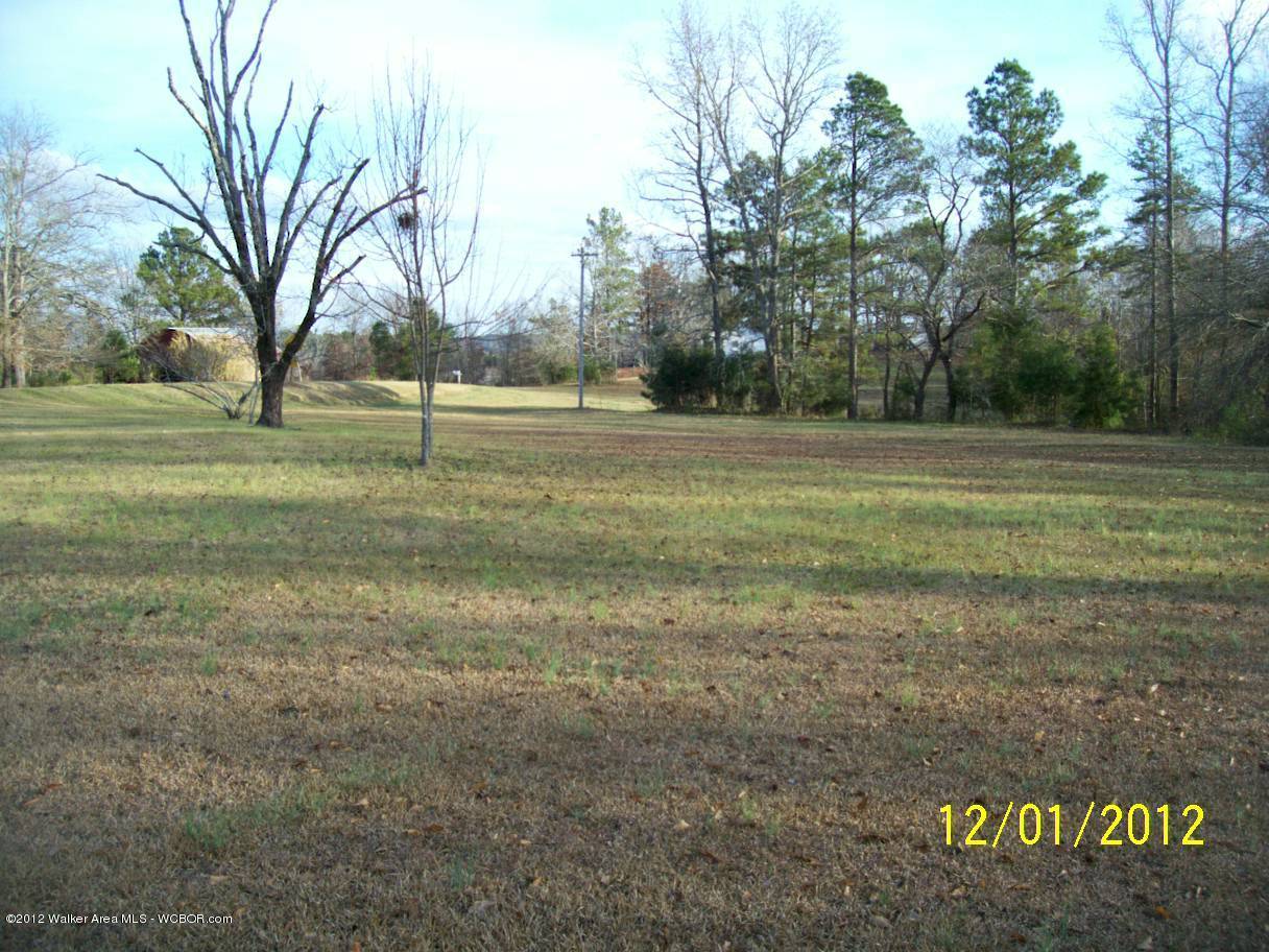 1265 Mt Hebron Road Beaverton, AL 35544 - Photo 39 of 45 Gallery Image 39
