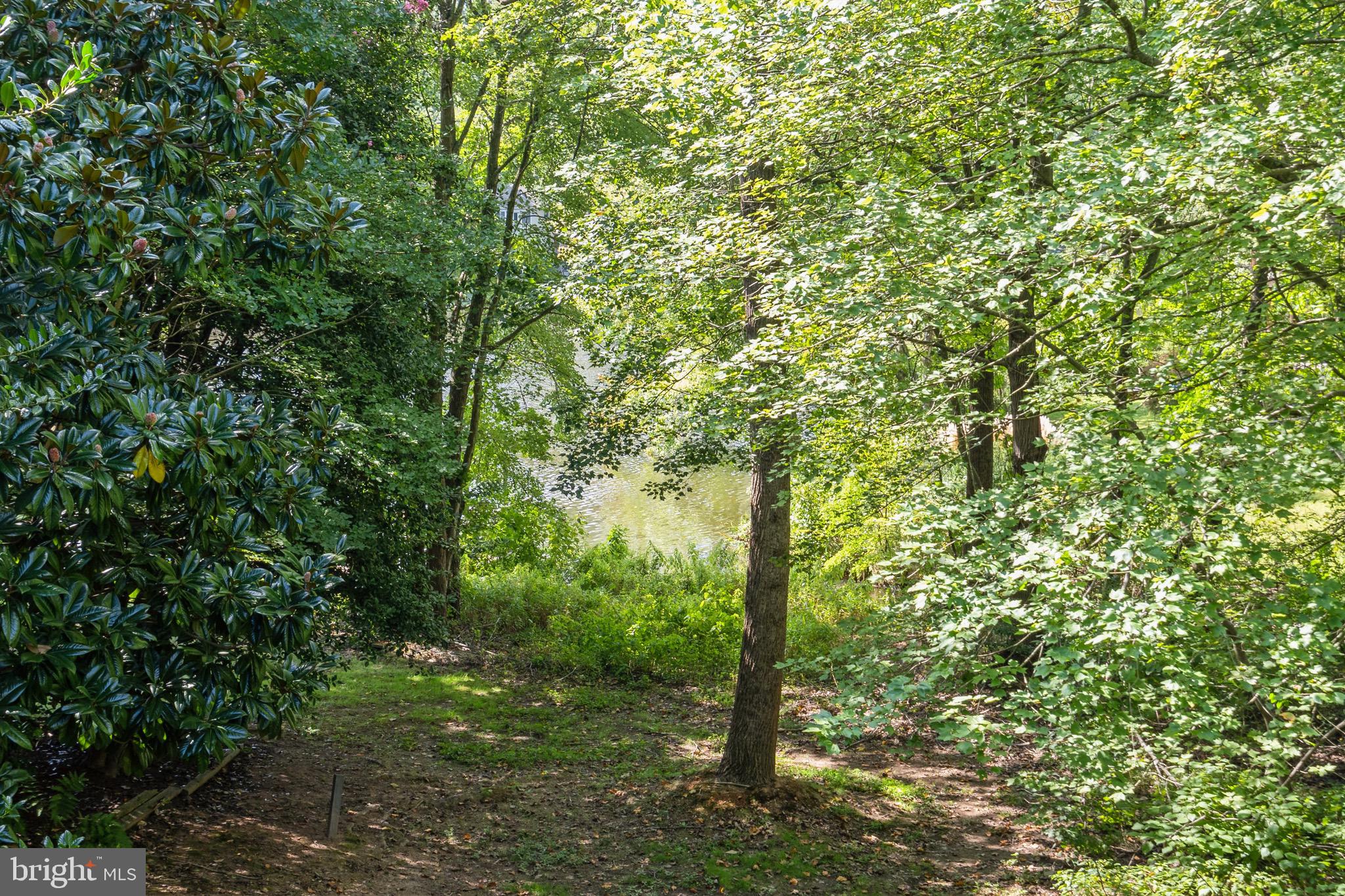 2262 Cedar Cove Court Reston, VA 20191 - Photo 12 of 72 View from the back gate