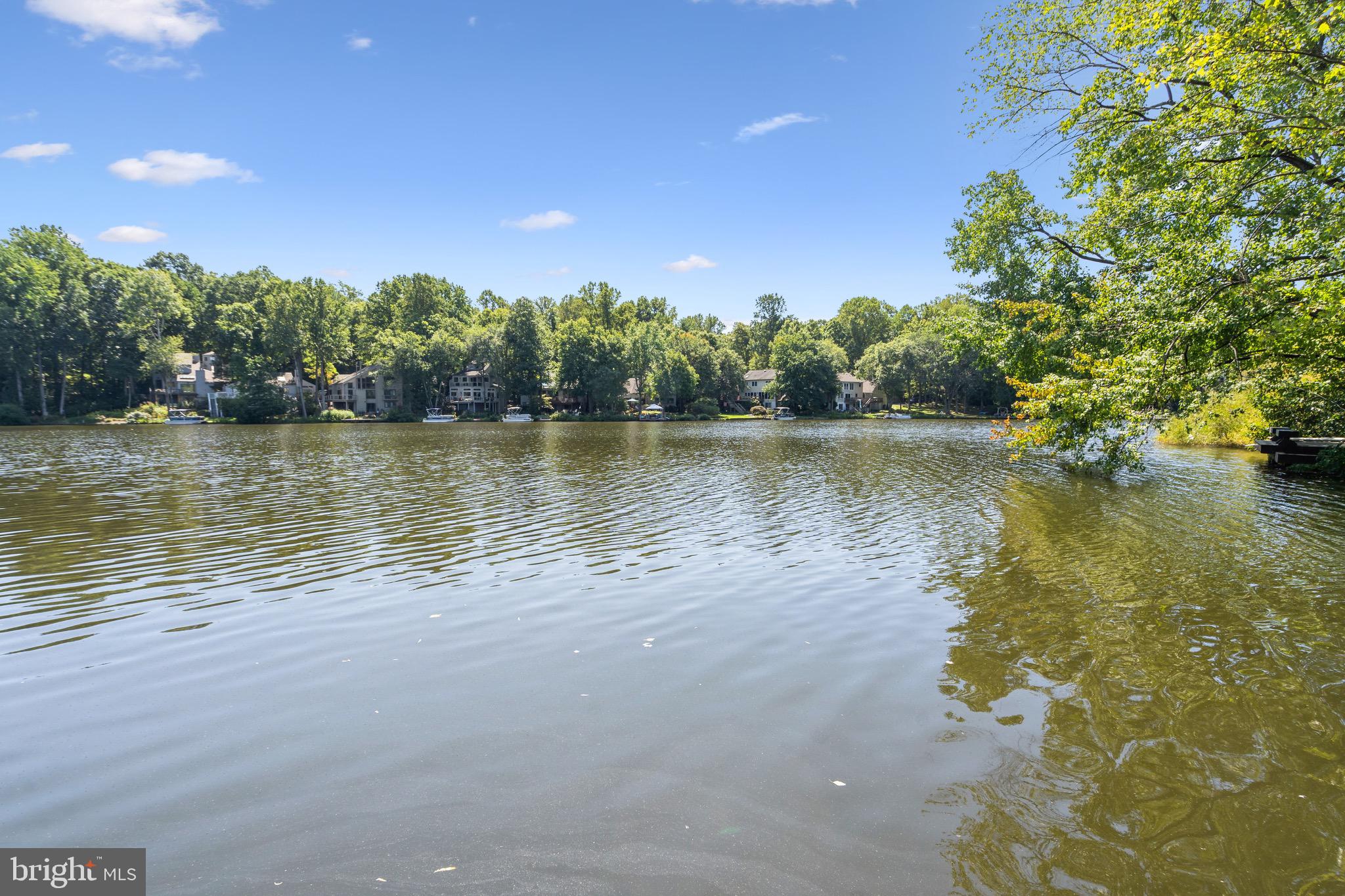 2262 Cedar Cove Court Reston, VA 20191 - Photo 14 of 72 View from Cedar Cove community dock