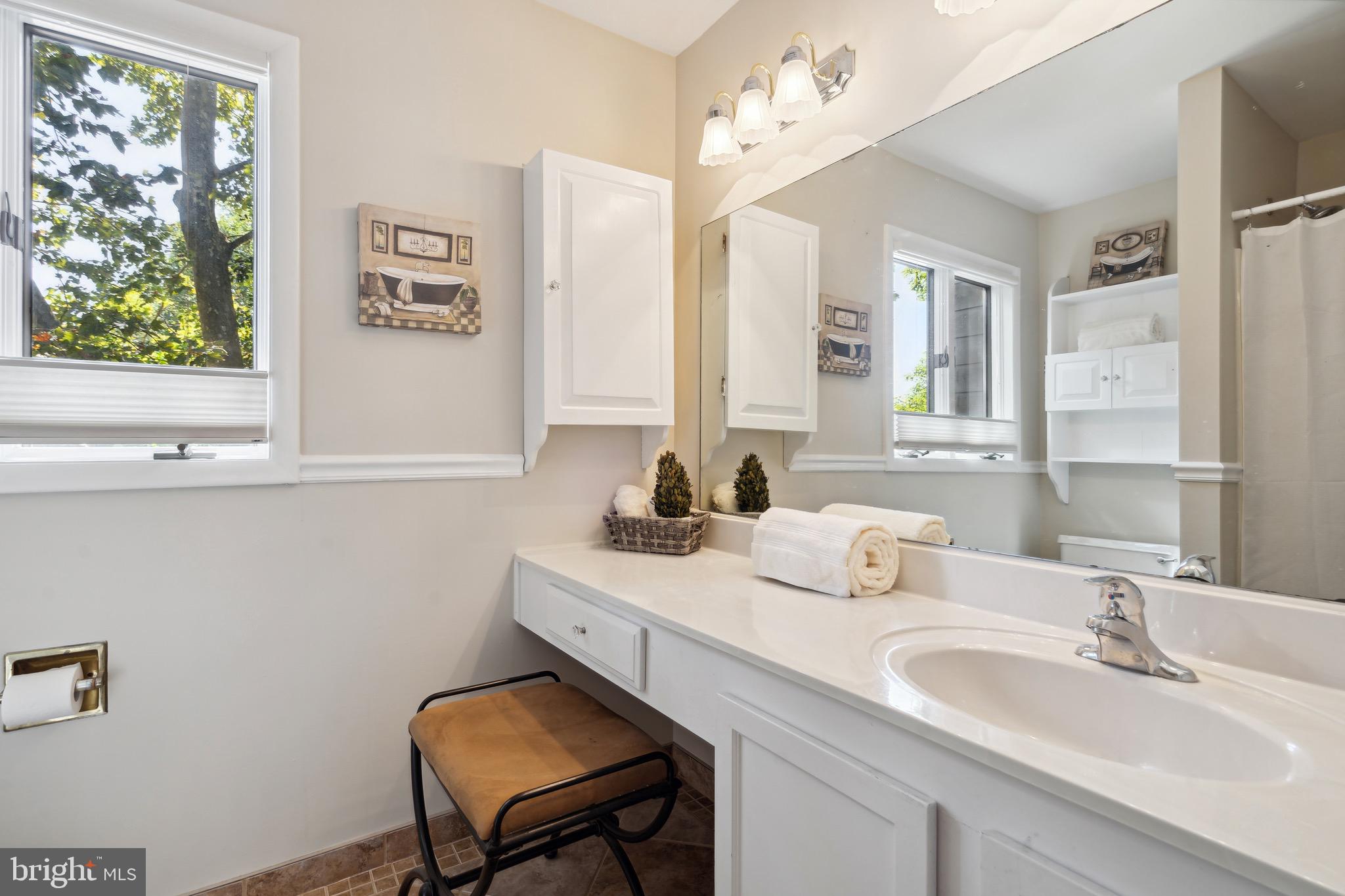2262 Cedar Cove Court Reston, VA 20191 - Photo 38 of 72 Hall bath