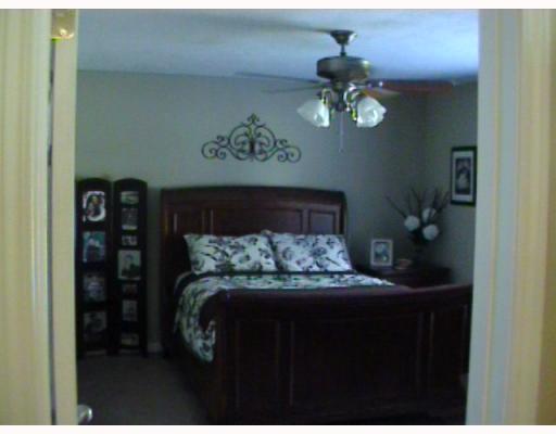 129 Lucas Road Deville, LA 71328 - Photo 6 of 8
