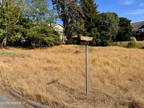 a street view of a yard with trees