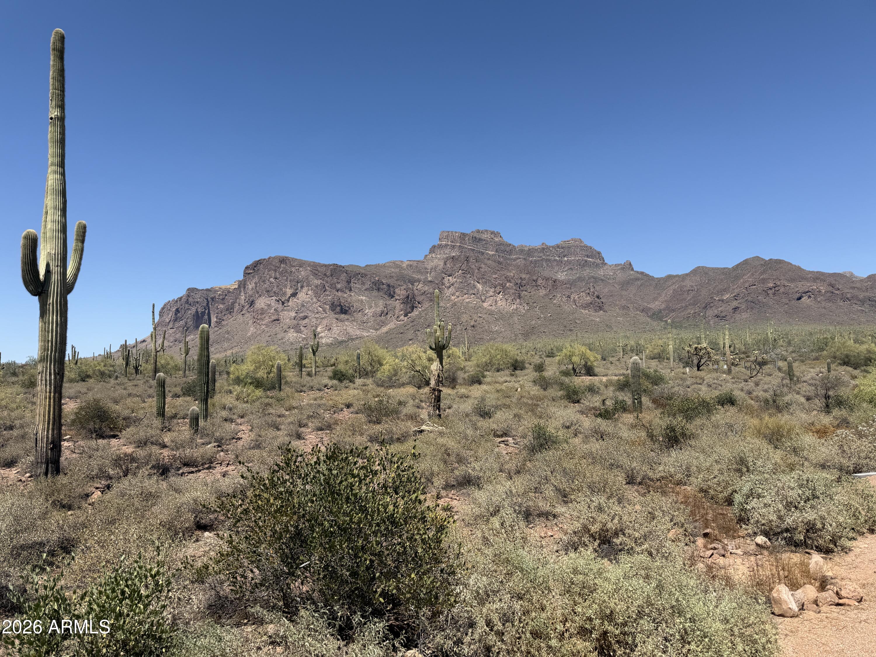 53 North La Barge Road Apache Junction, AZ 85119 - Photo 39 of 40 a view of a dry field
