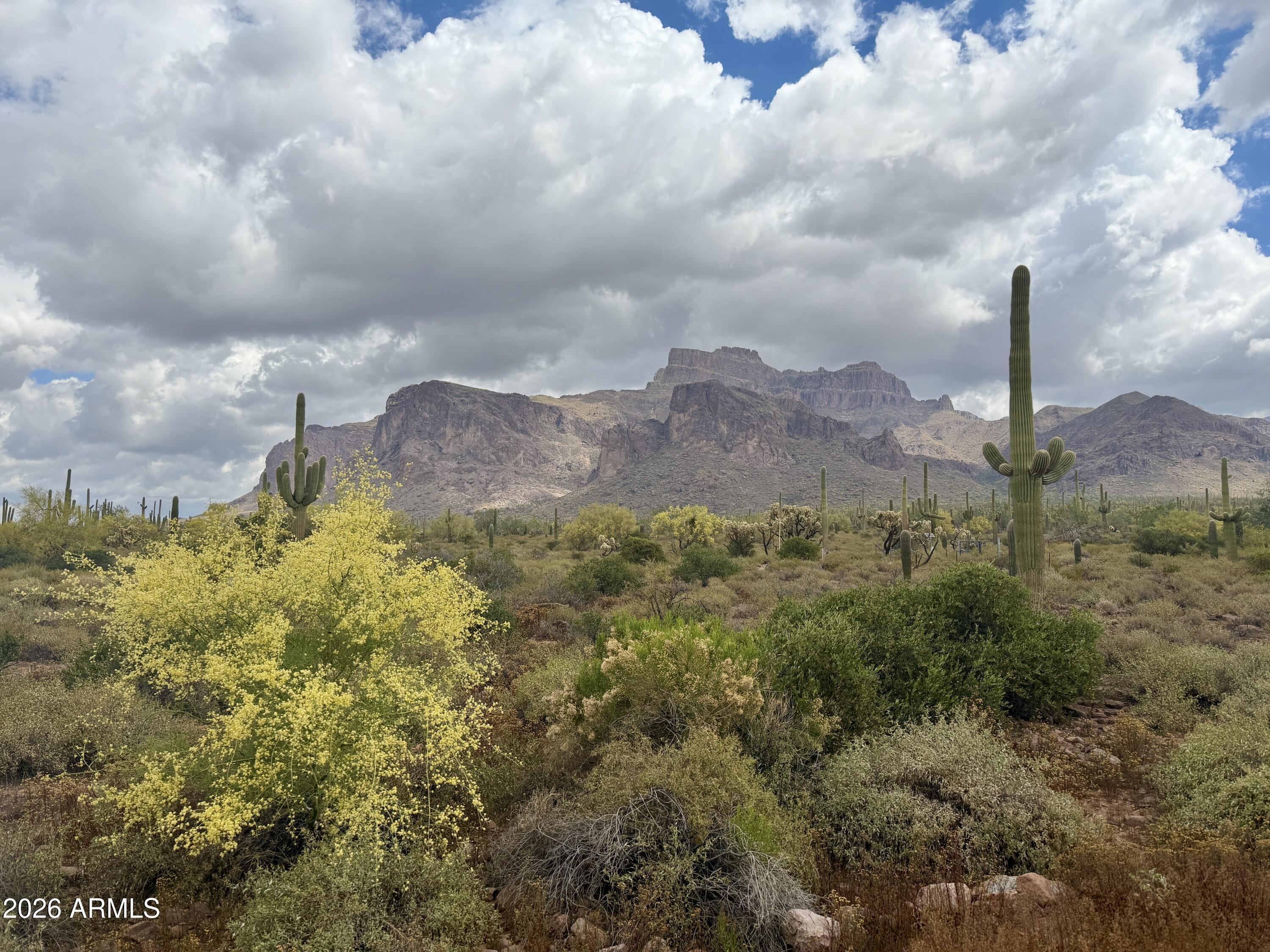 53 North La Barge Road Apache Junction, AZ 85119 - Photo 40 of 40 a view of a lake with a large tree in the background