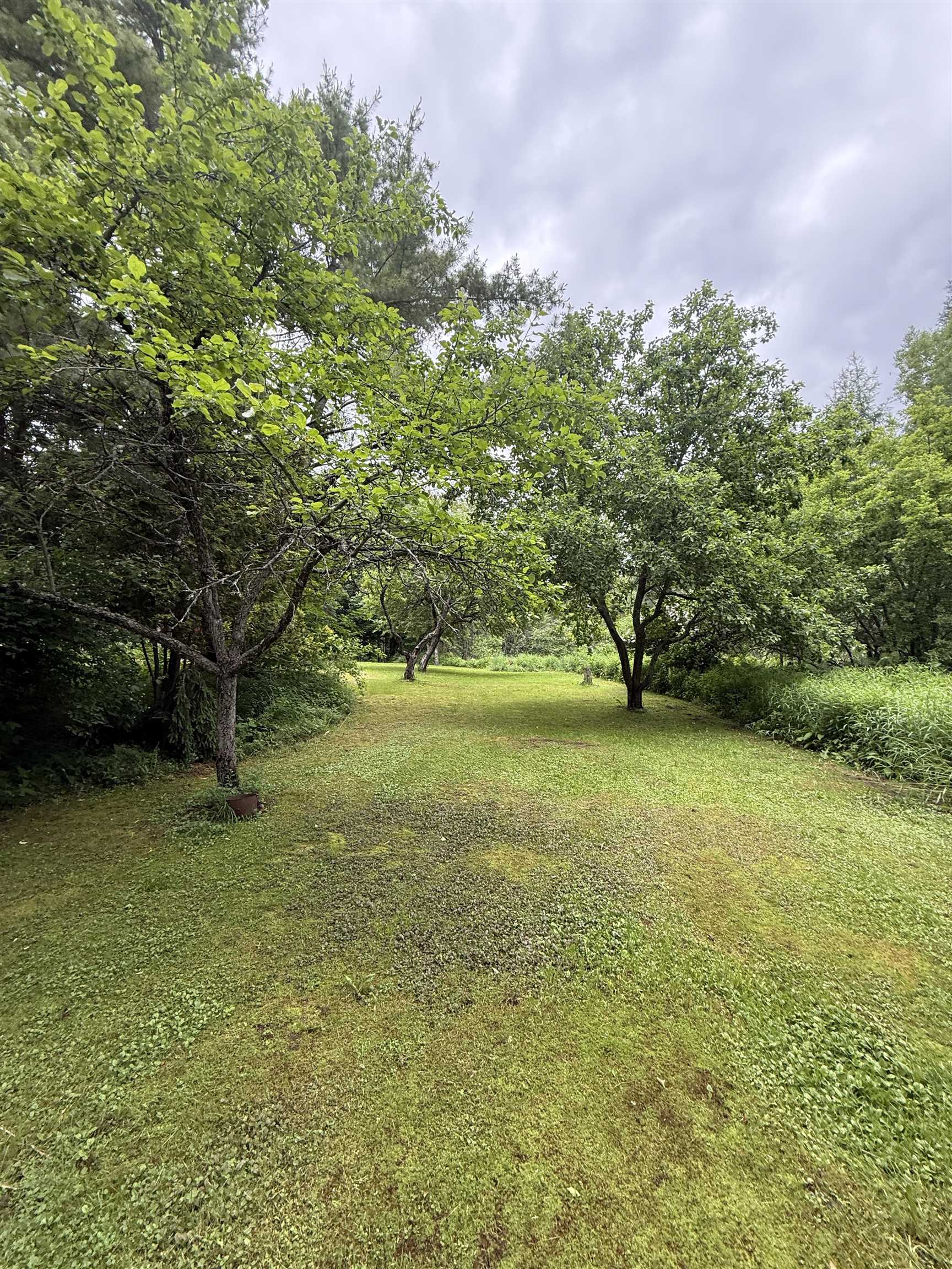 2650 Tampico Road Danville, VT 05828 - Photo 44 of 60