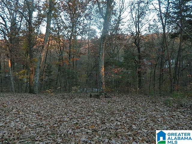 6709 Womack Road Pinson, AL 35126 - Photo 13 of 15