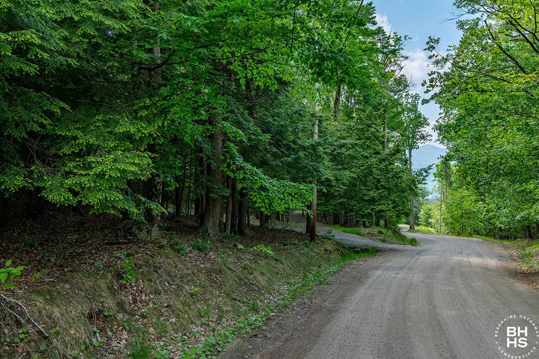 0 Jackson Road Keene, NY 12942 - Photo 3 of 12 LandOnJacksonInKeene_Land_MTN_Road