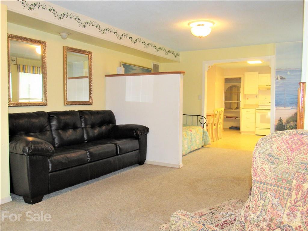 364 Hunters Ridge Road Mills River, NC 28759 - Photo 28 of 38 Gallery Image 28