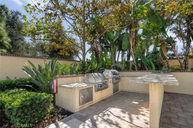 a view of a backyard with plants