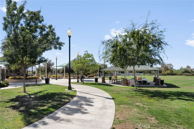 a view of a park with lots of trees and plants