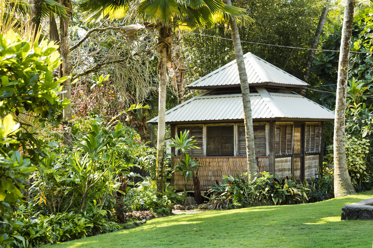 12-7208 Kalapana Kapoho Beach Road Pahoa, HI 96778 - Photo 28 of 30