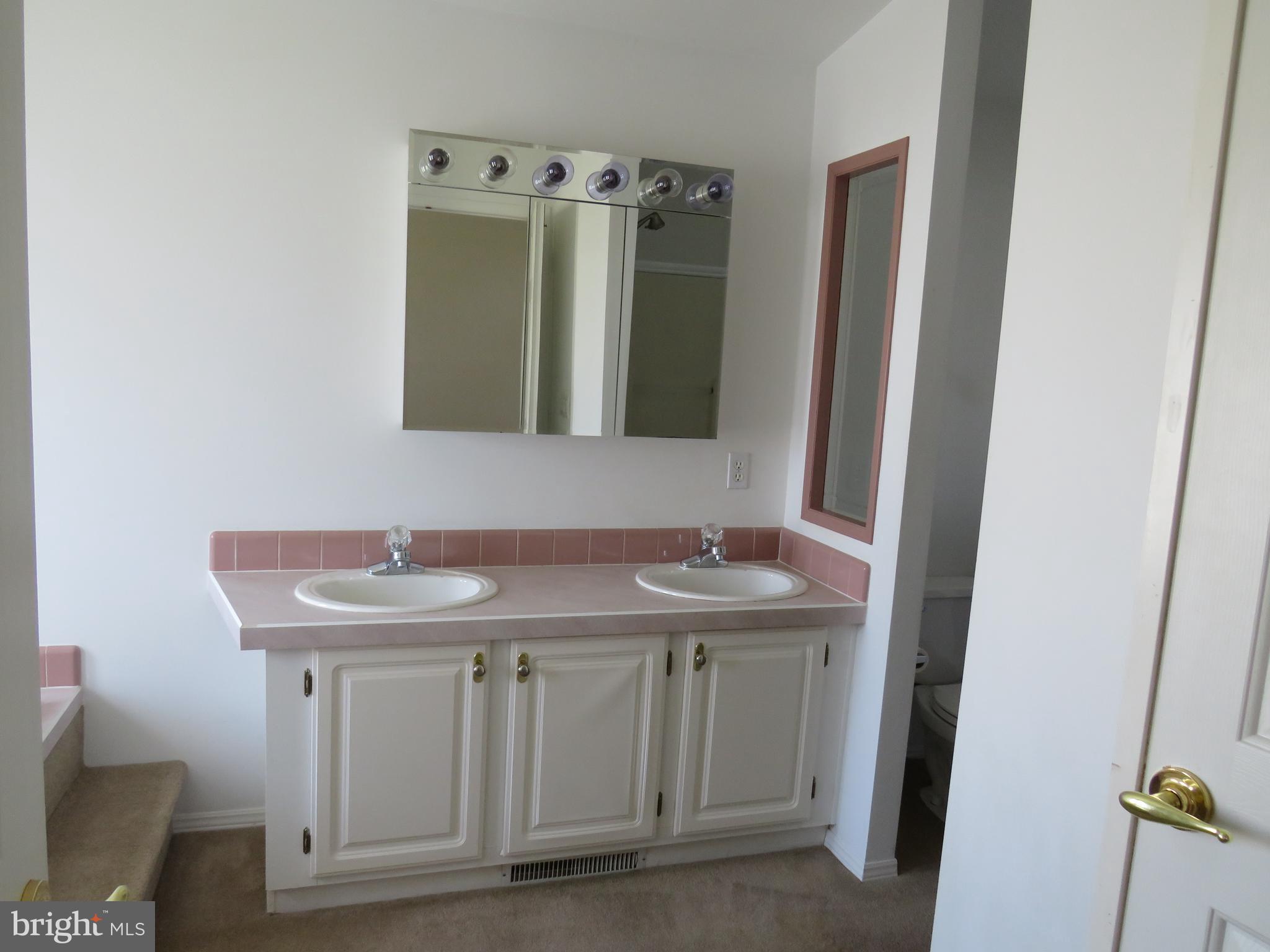 342 Spring Meadow Circle New Hope, PA 18938 - Photo 27 of 40 Primary Bathroom
