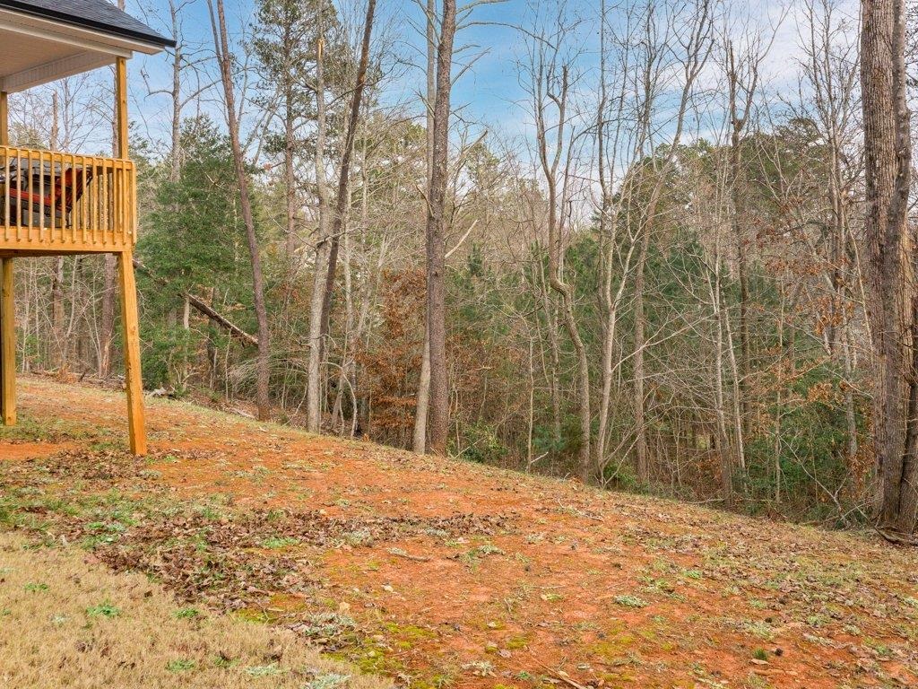 407 Bramlett Road Taylors, SC 29687 - Photo 26 of 31