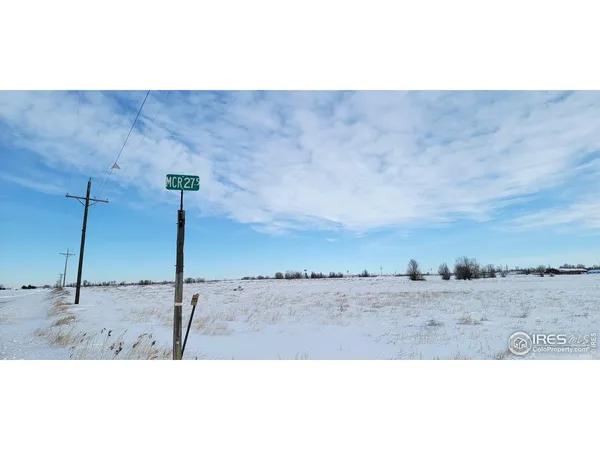 a view of a dry yard