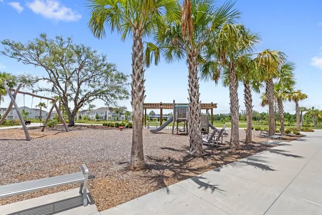 a view of a park with palm trees