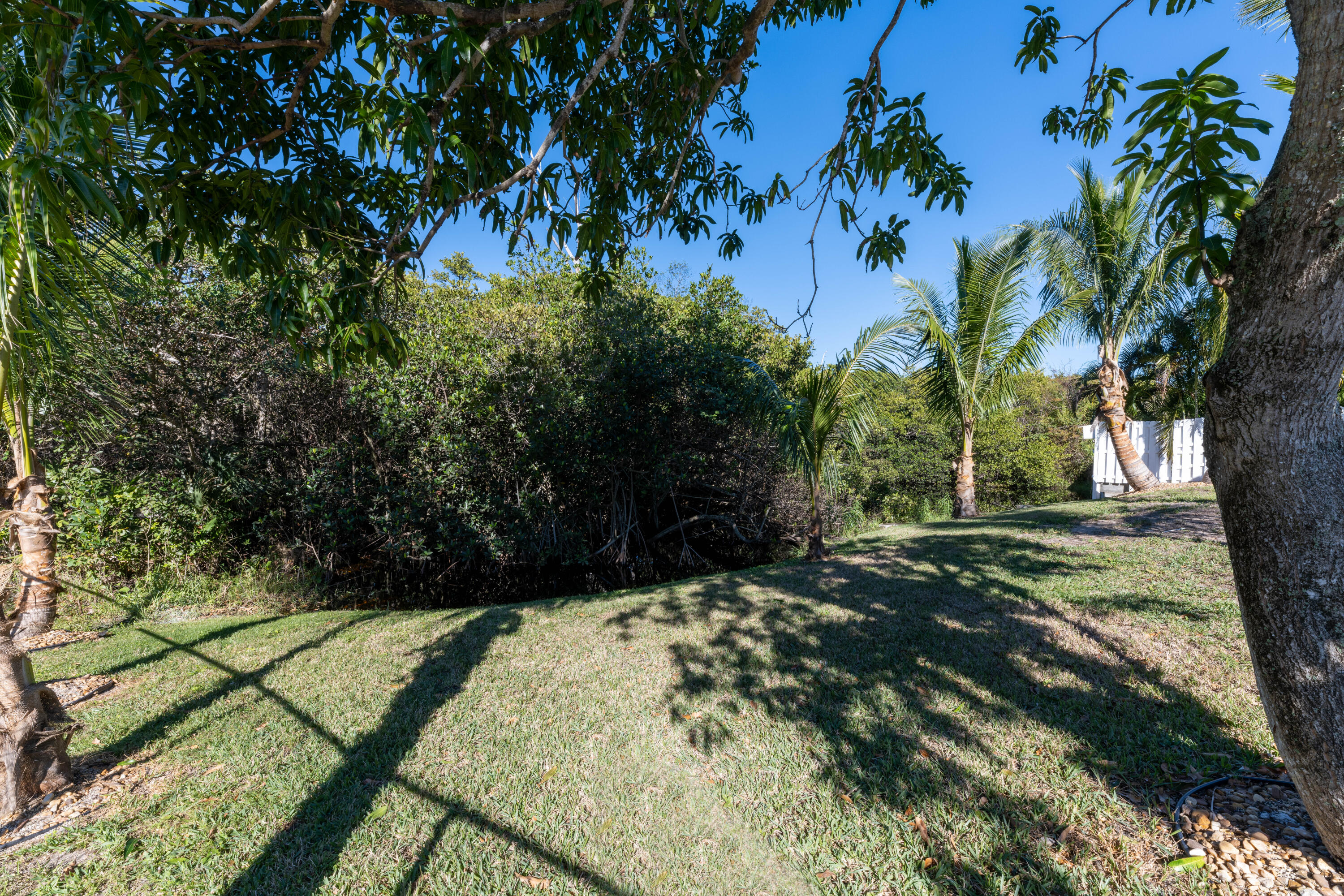 13757 Cocoanut Avenue Juno Beach, FL 33408 - Photo 26 of 31 a view of backyard with tree