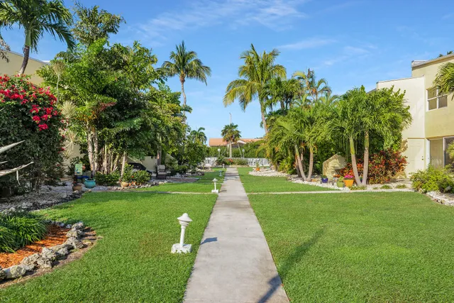 a view of a swimming pool with a lawn chairs under palm trees