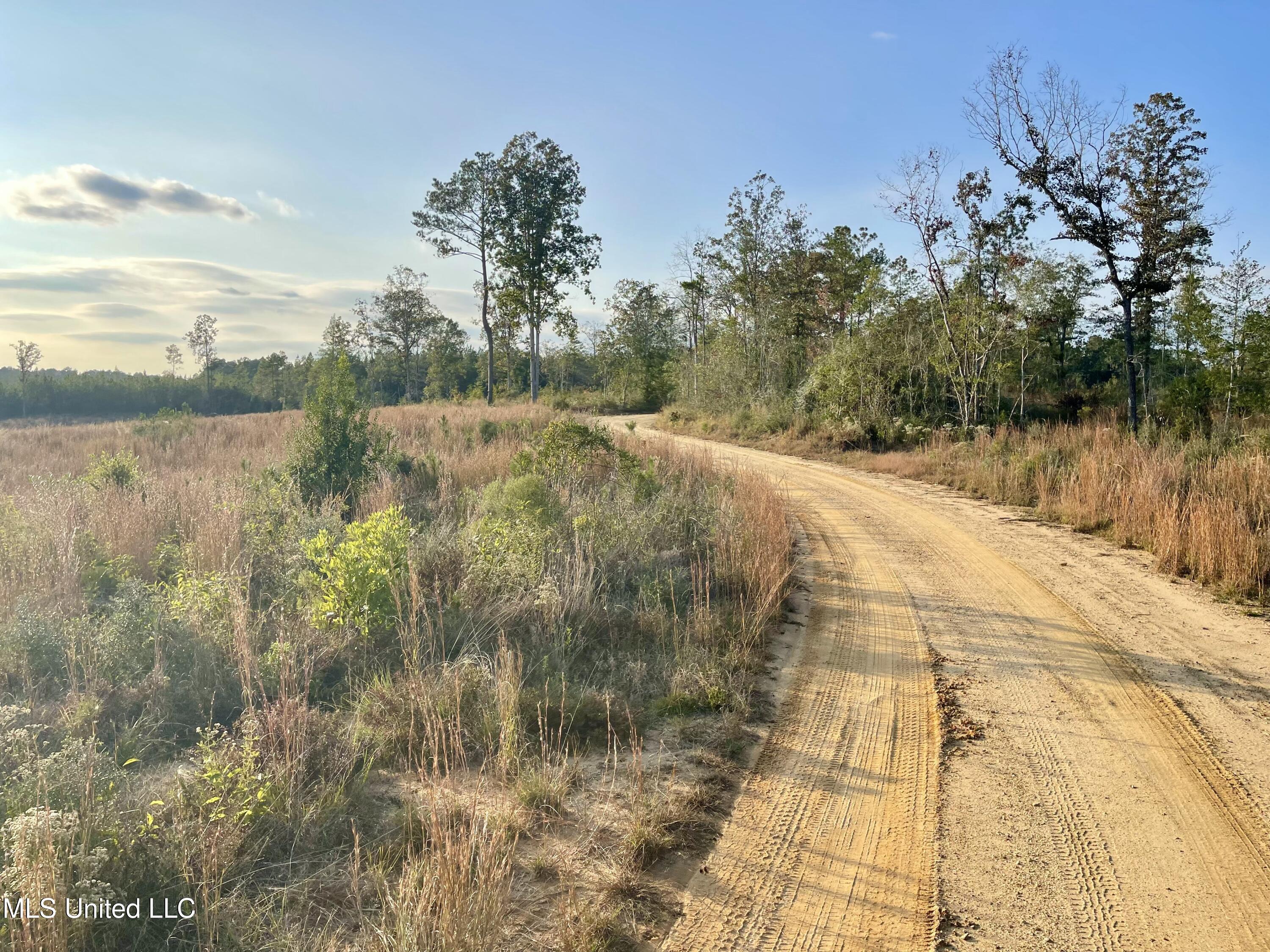 Underwood Ball Road Leakesville, MS 39451 - Photo 11 of 22 IMG_0212
