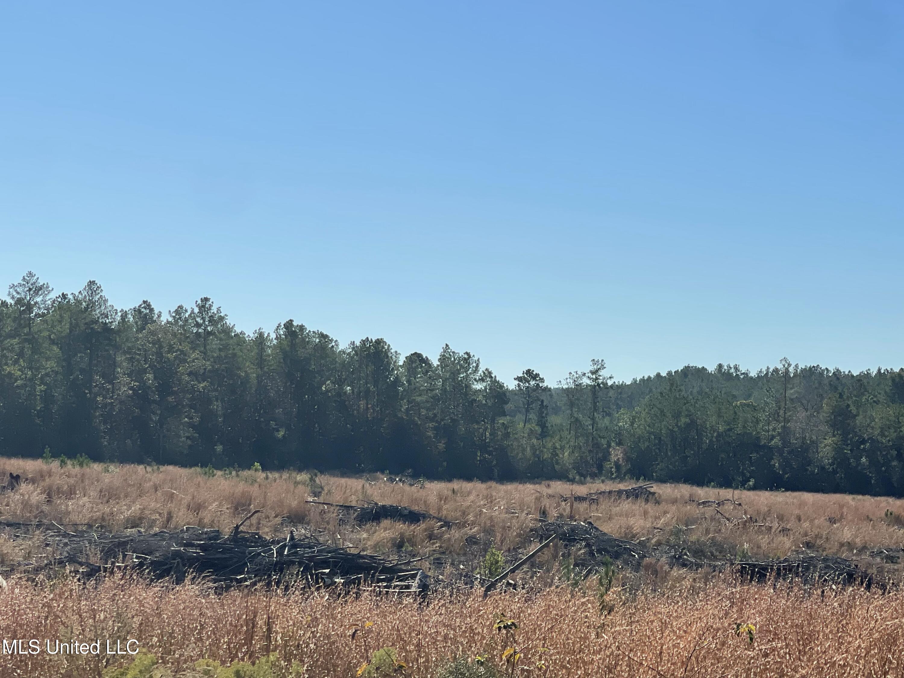 Underwood Ball Road Leakesville, MS 39451 - Photo 12 of 22 IMG_0285