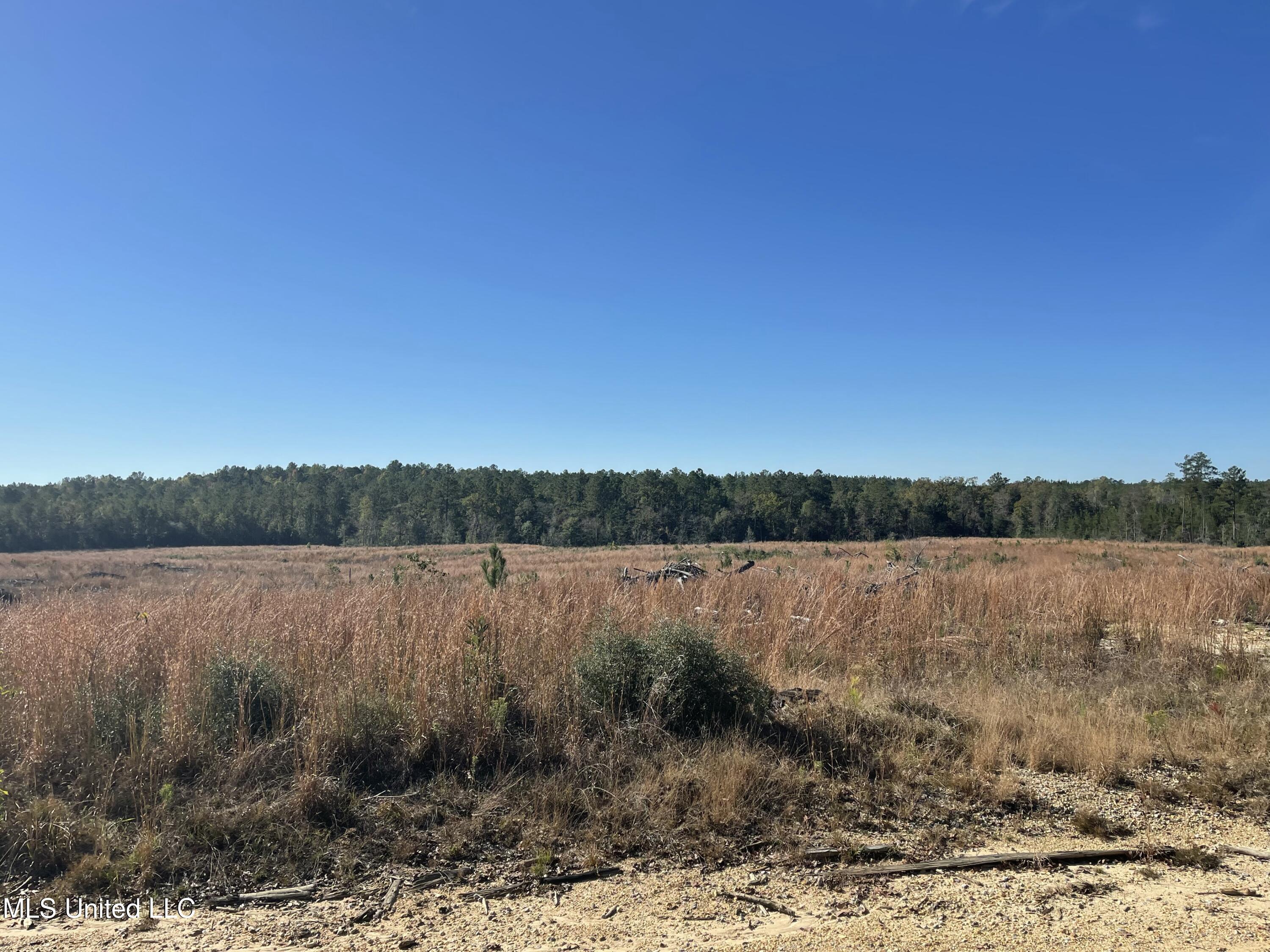 Underwood Ball Road Leakesville, MS 39451 - Photo 13 of 22 IMG_0286