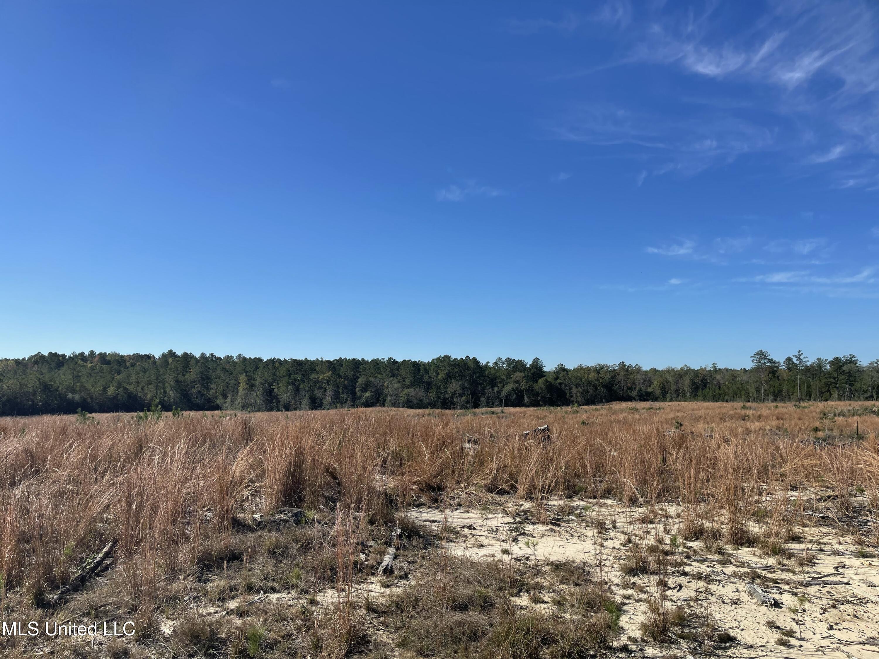 Underwood Ball Road Leakesville, MS 39451 - Photo 14 of 22 IMG_0288