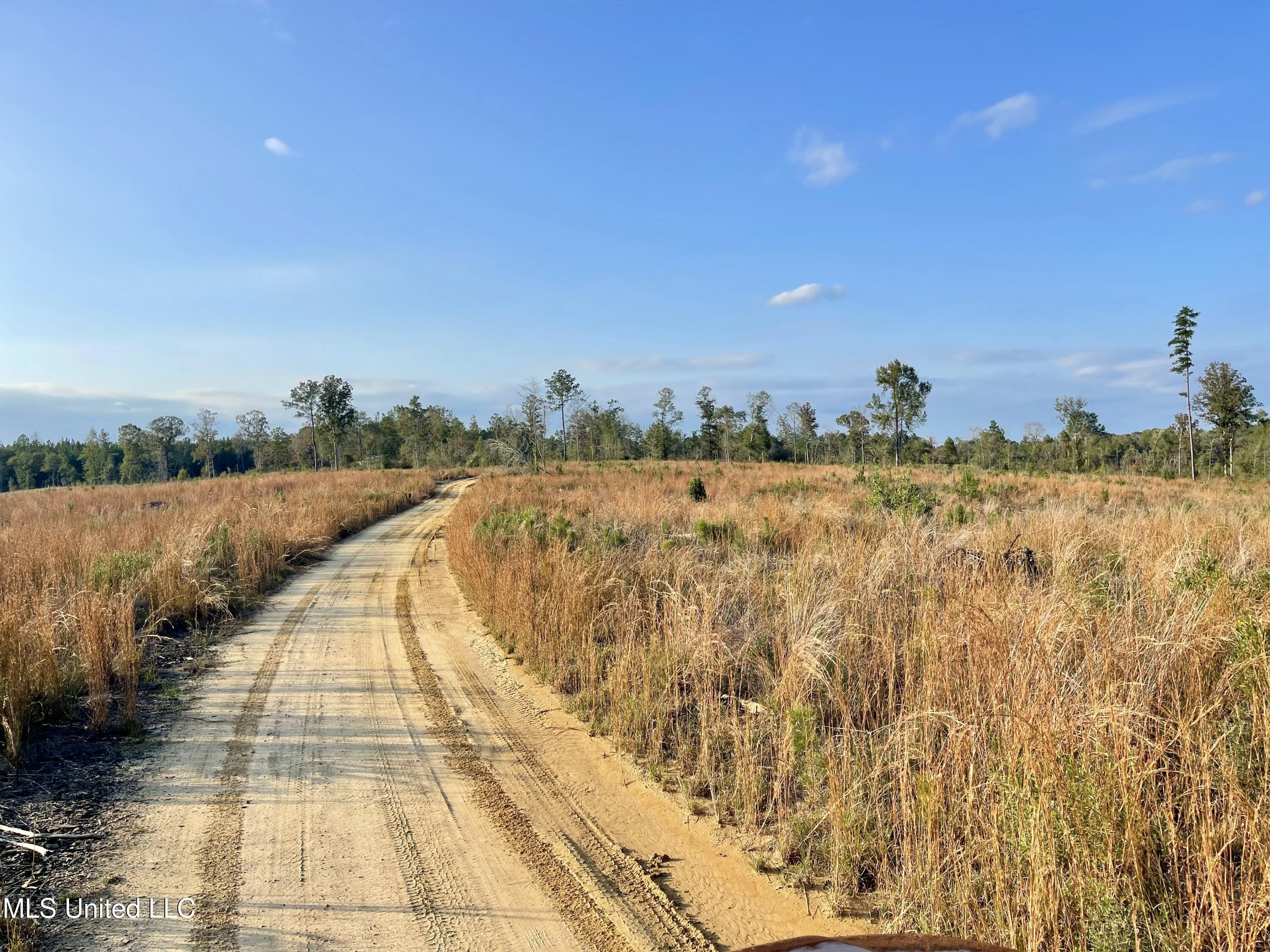 Underwood Ball Road Leakesville, MS 39451 - Photo 15 of 22 IMG_0210