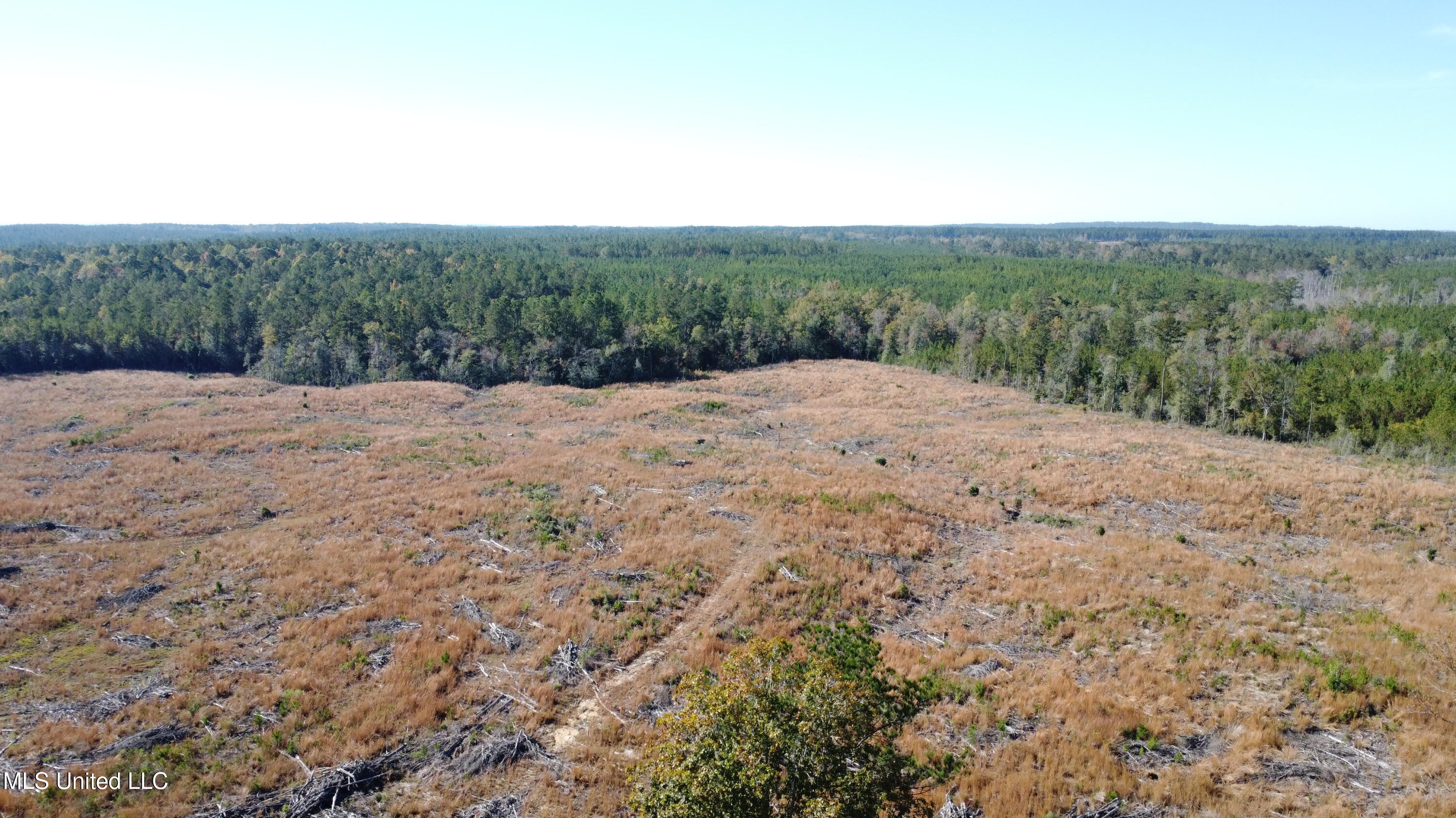 Underwood Ball Road Leakesville, MS 39451 - Photo 18 of 22 DJI_0326