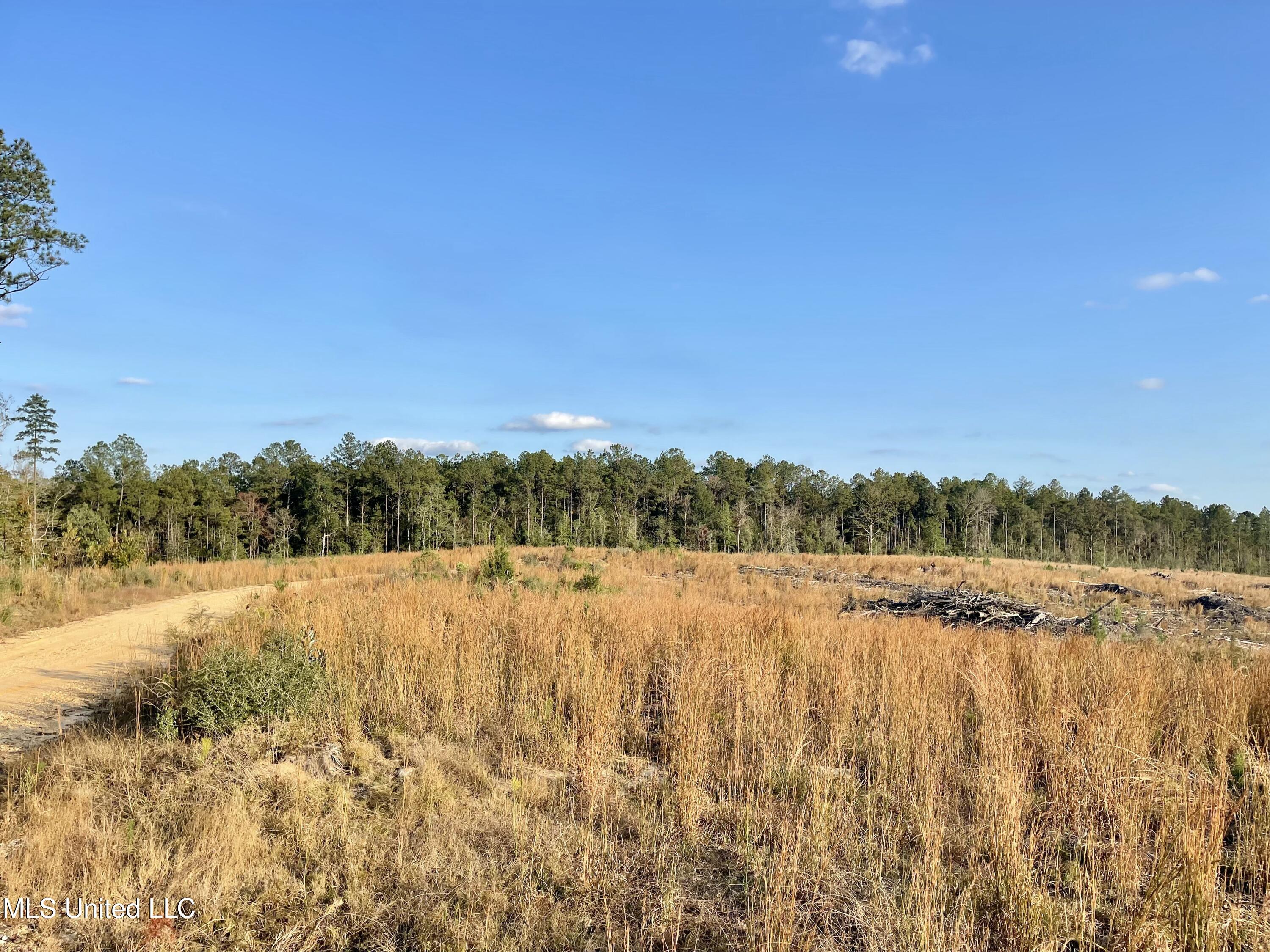 Underwood Ball Road Leakesville, MS 39451 - Photo 3 of 22 IMG_0215