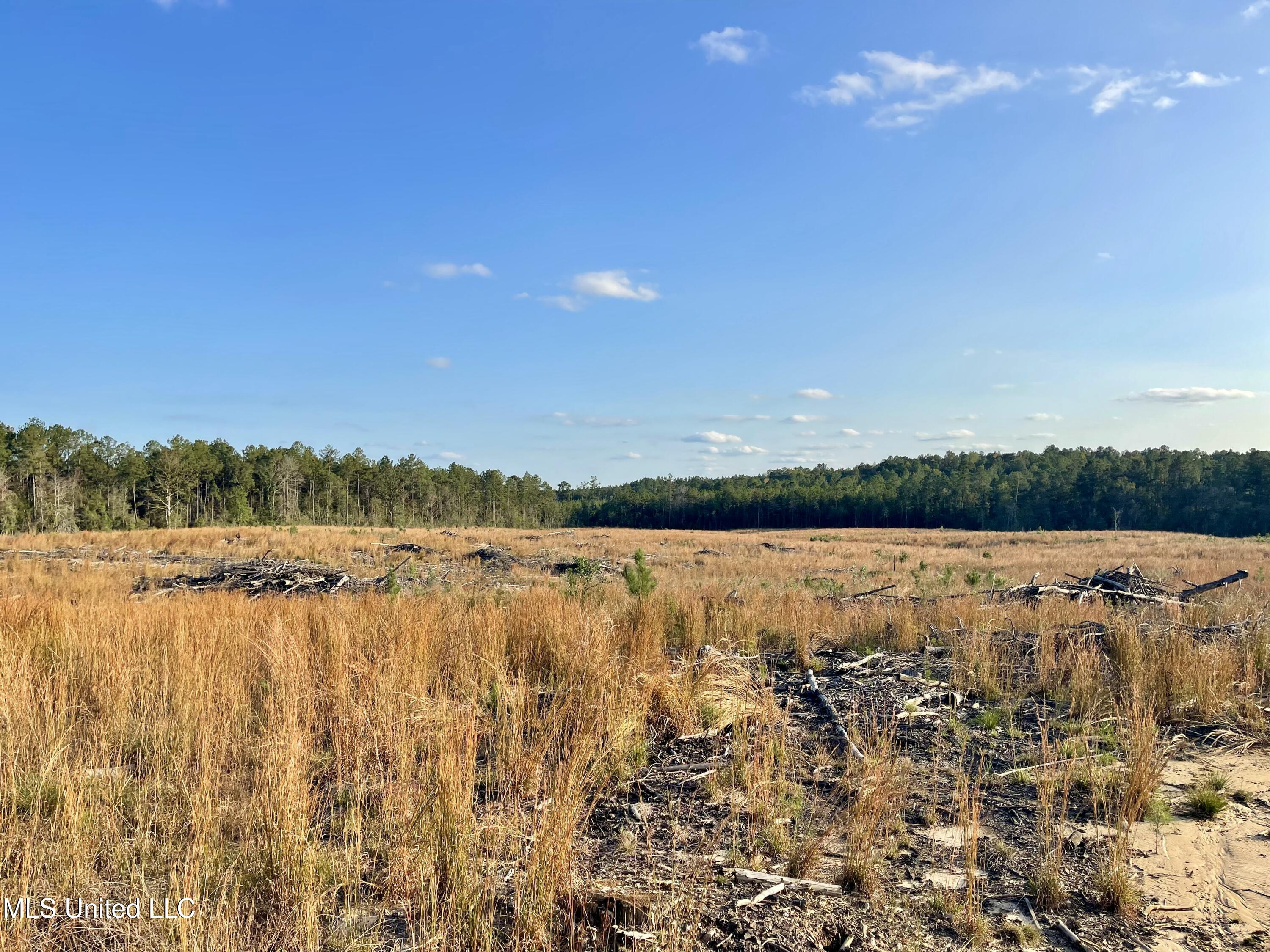 Underwood Ball Road Leakesville, MS 39451 - Photo 4 of 22 IMG_0216