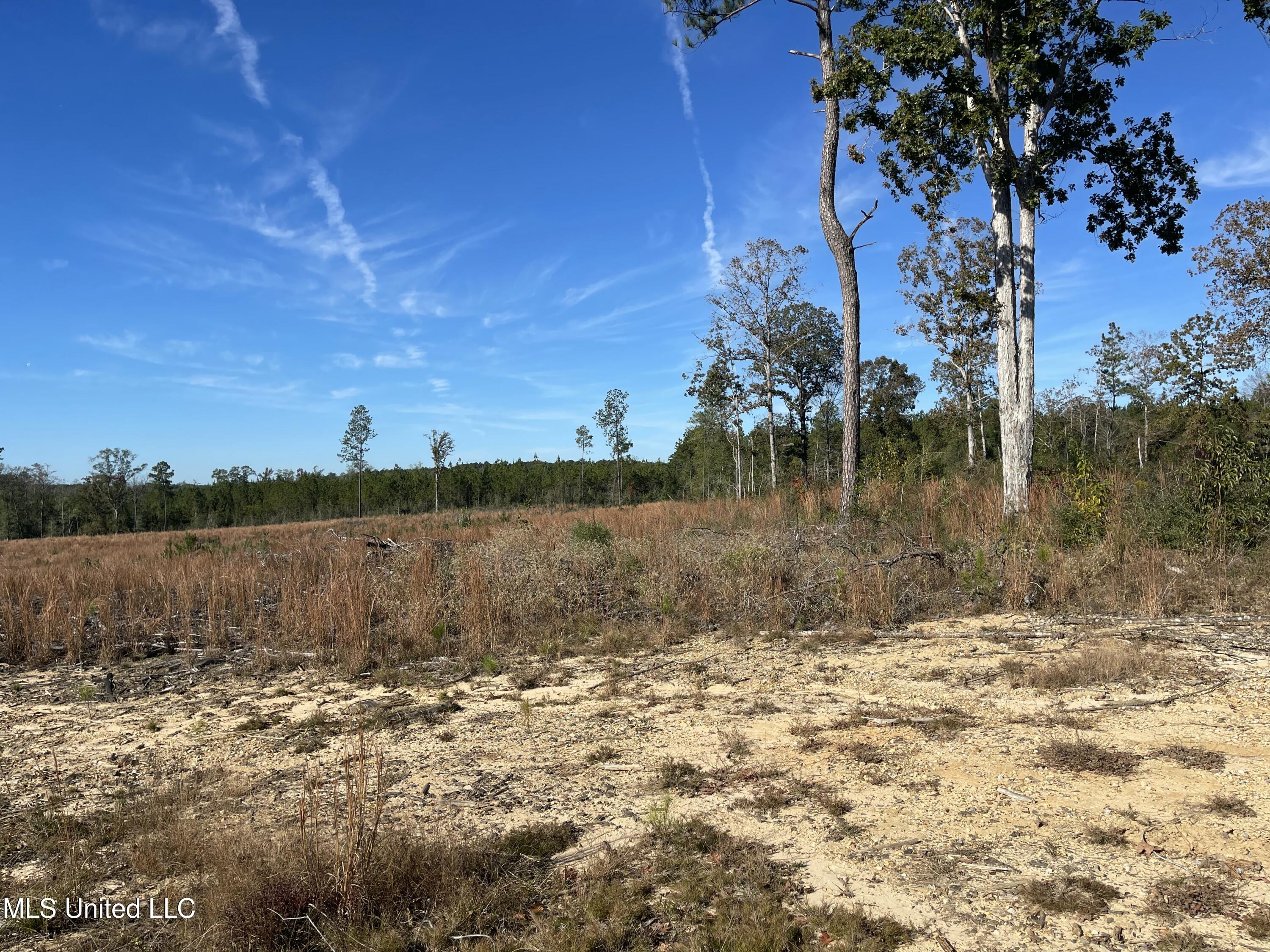 Underwood Ball Road Leakesville, MS 39451 - Photo 5 of 22 IMG_0282
