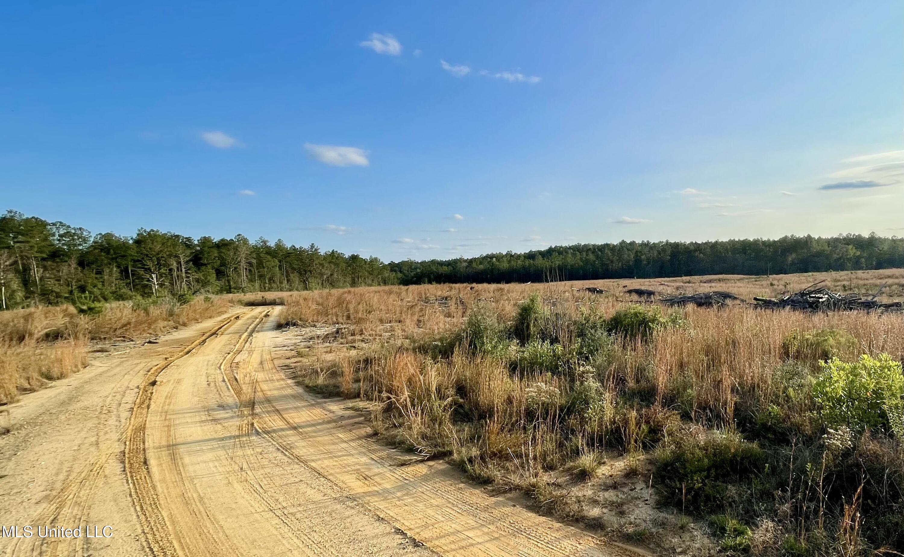 Underwood Ball Road Leakesville, MS 39451 - Photo 7 of 22 IMG_0226