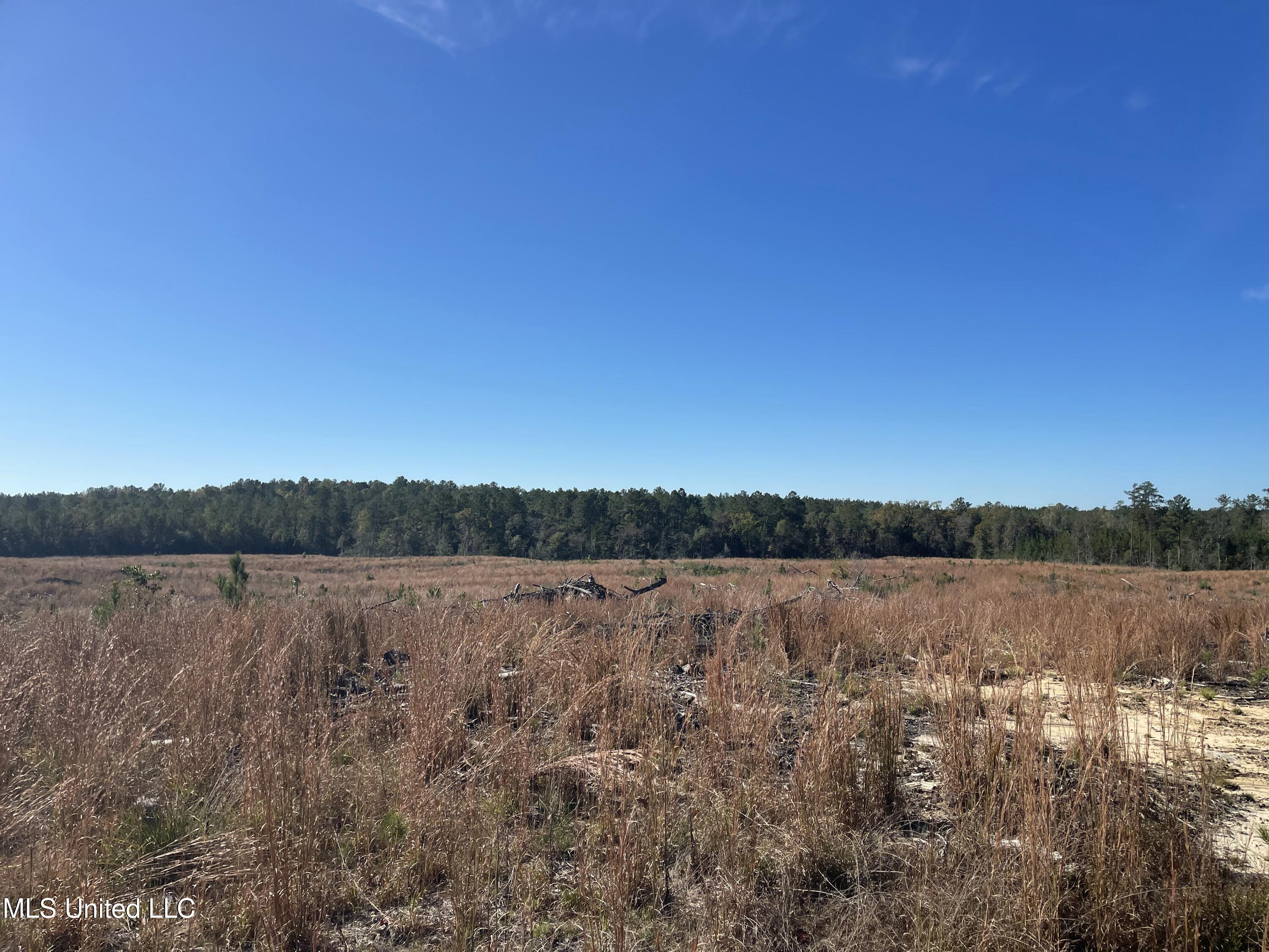 Underwood Ball Road Leakesville, MS 39451 - Photo 8 of 22 IMG_0280