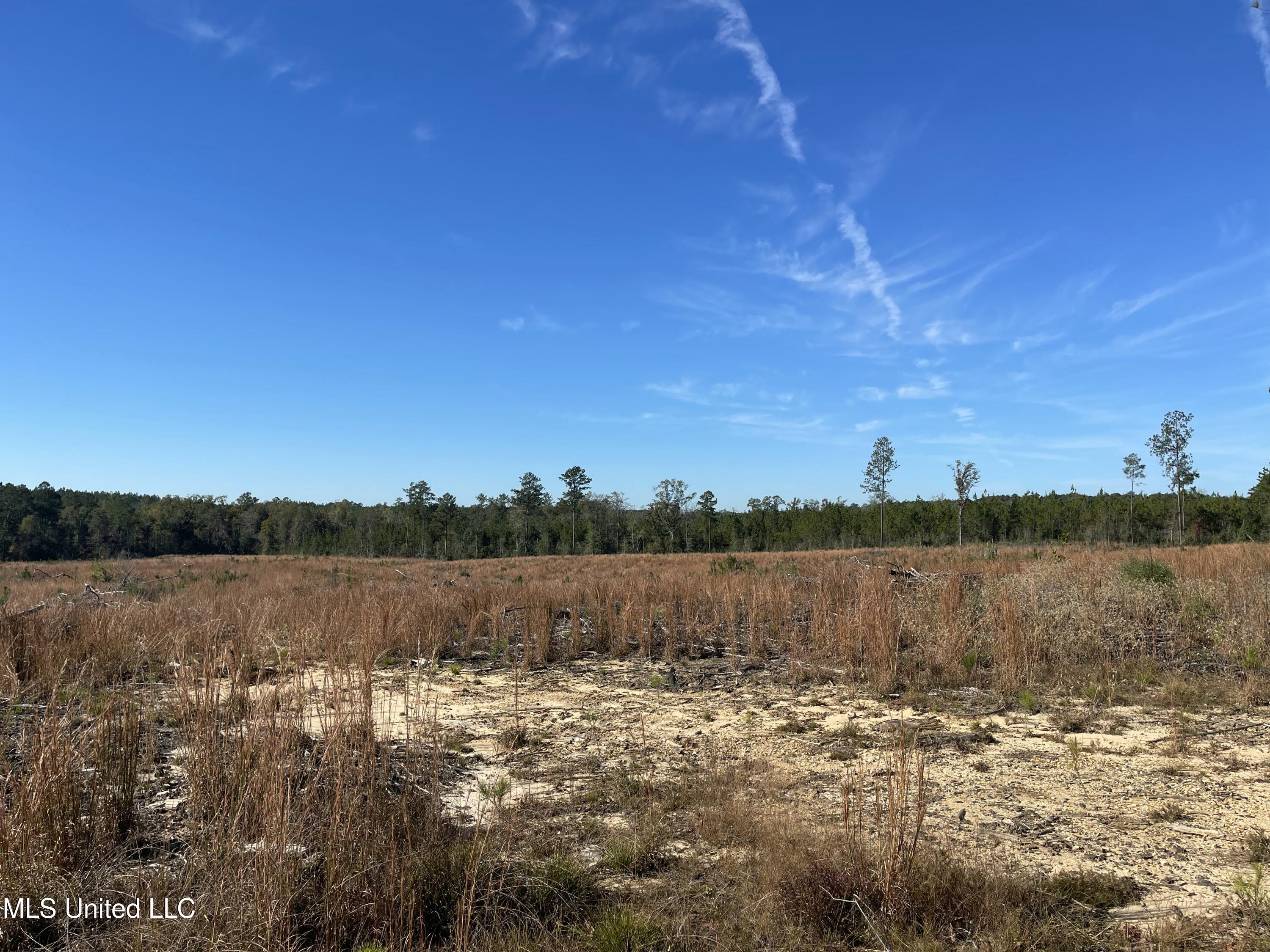 Underwood Ball Road Leakesville, MS 39451 - Photo 9 of 22 IMG_0281