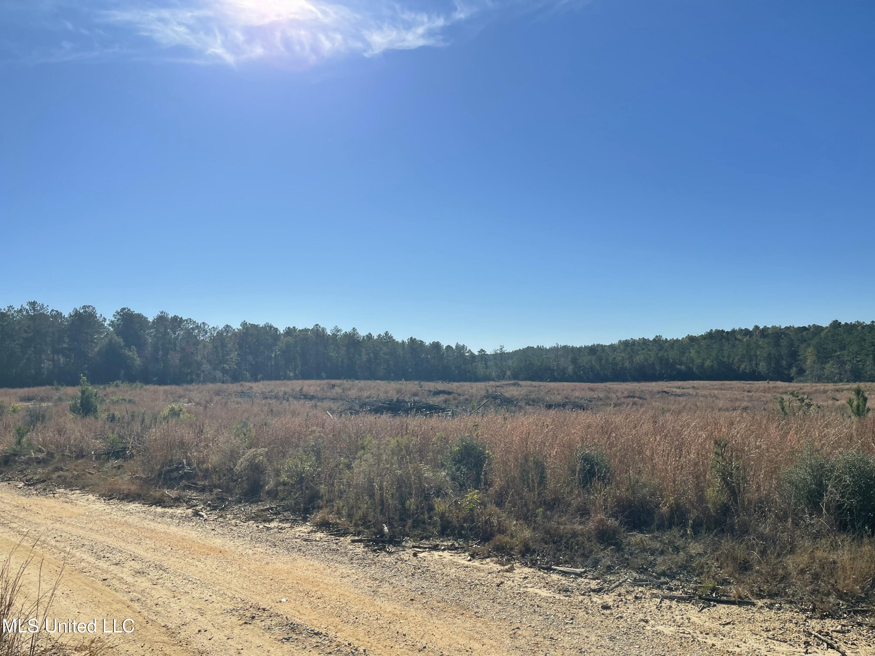 Underwood Ball Road Leakesville, MS 39451 - Photo 10 of 22 IMG_0284