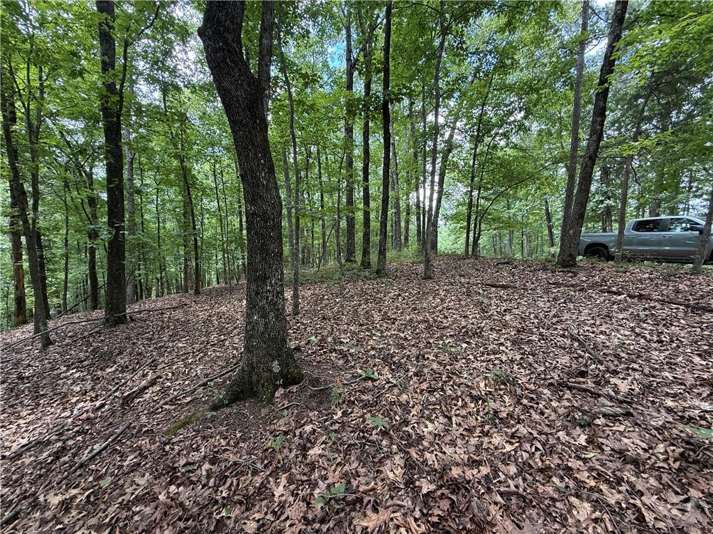 Lot 10 Mayfield Lane Ranger, GA 30734 - Photo 9 of 20 Gallery Image 9