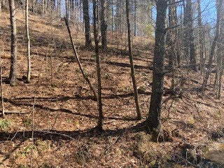 Tbd Lincoln Road, Unit 3 Galax, VA 24333 - Photo 25 of 64 Gallery Image 25