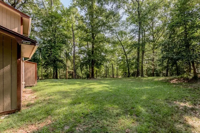 a view of a trees in a yard