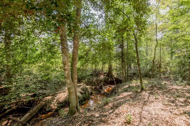 a view of outdoor space with trees all around