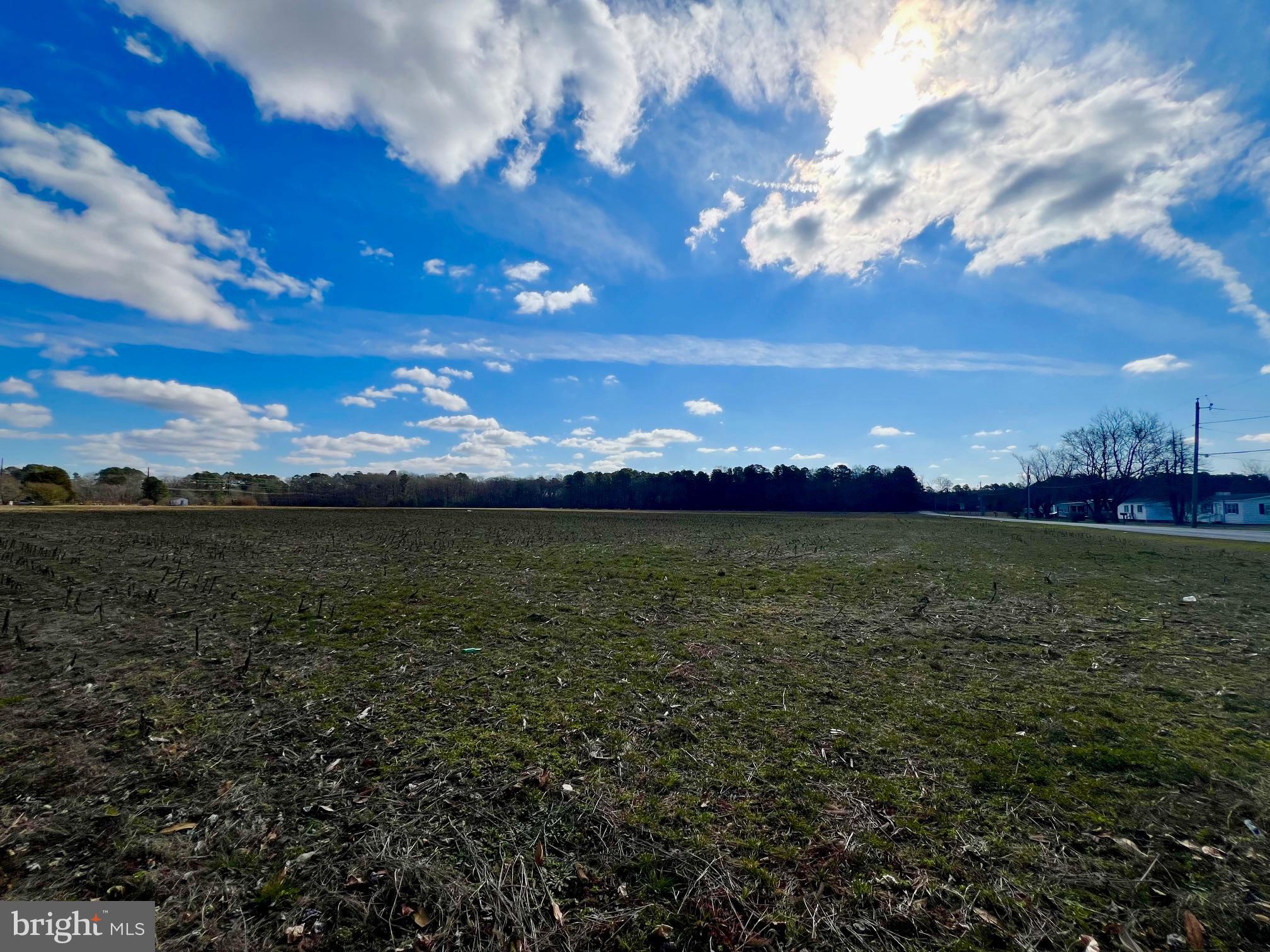 0 Levin Dashiell Road Hebron, MD 21830 - Photo 5 of 9 a view of an ocean and a yard