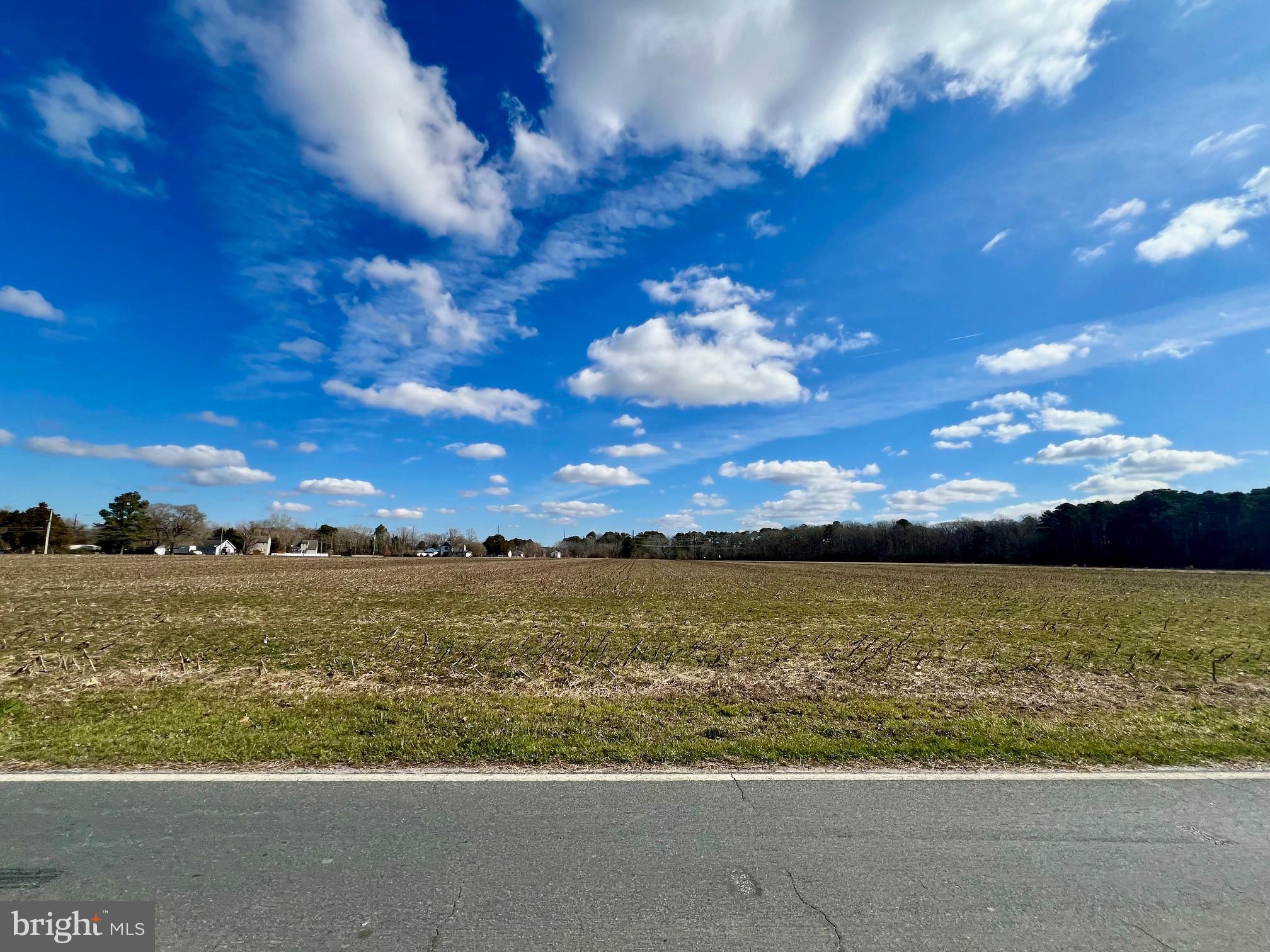 0 Levin Dashiell Road Hebron, MD 21830 - Photo 6 of 9