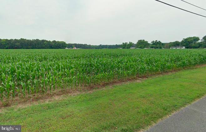 0 Levin Dashiell Road Hebron, MD 21830 - Photo 8 of 9 a view of a field with a tree in the background